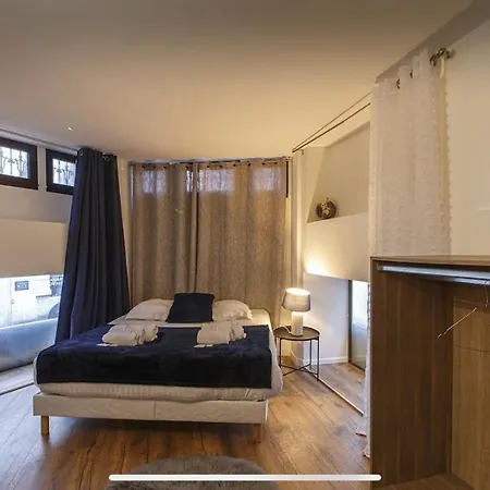 Logement Hyper-centre Idealement Situe Home-voltaire * Angers