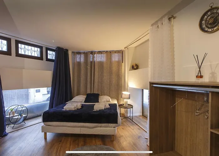 Logement Hyper-centre Idealement Situe Home-voltaire * 昂热